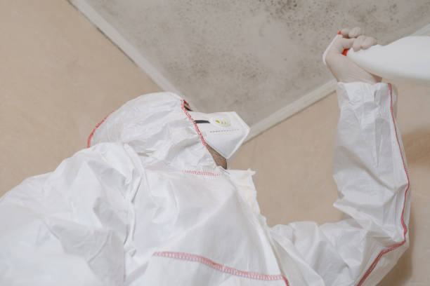 Best Preventive Mold Services in Teague, TX