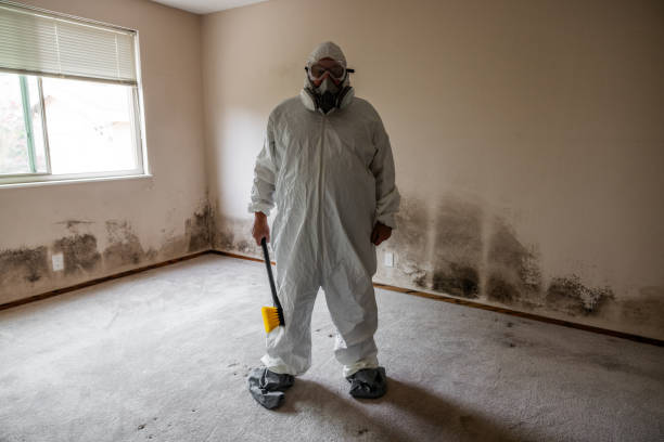 Best Crawl Space Mold Remediation in Teague, TX